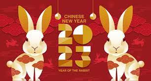 Expats welcome Year of the Rabbit in grand parade